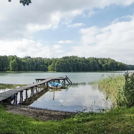 Dluzek12