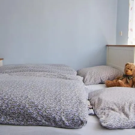 Farmház Dluzek12 *